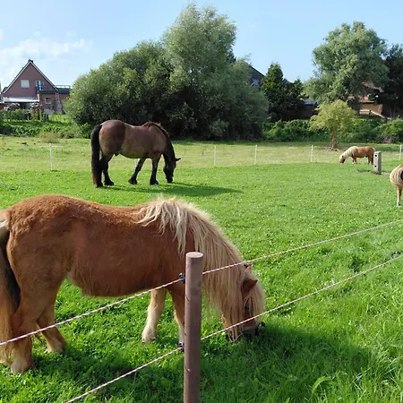 펜션 Timm - An Der Ostsee *