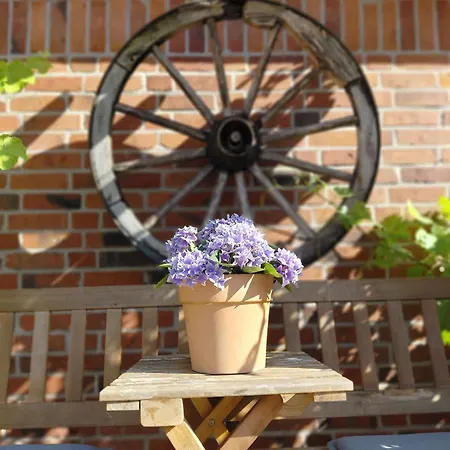 펜션 Timm - An Der Ostsee *