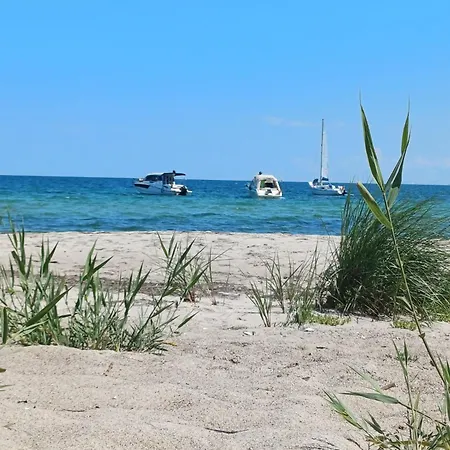 Timm - An Der Ostsee Neukirchen (Ostholstein)