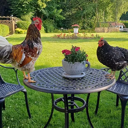 Timm - An Der Ostsee 펜션